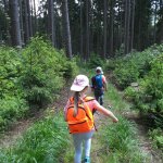 phoca_thumb_m_3. den vp 24 Fotogalerie